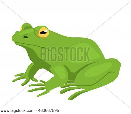 Green Frog Icon. Sticker For Social Networks And Messengers Swamp Lizard With Big Tongue. Biology An