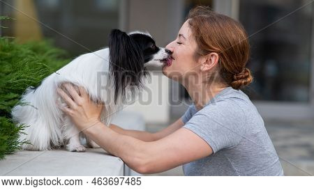 Caucasian Red-haired Woman Kissing Pappilion Dog Outdoors. Black And White Continental Spaniel.