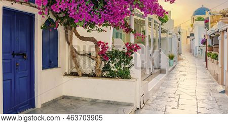 View Of Oia Street In The Mornong, Santorini, Greece
