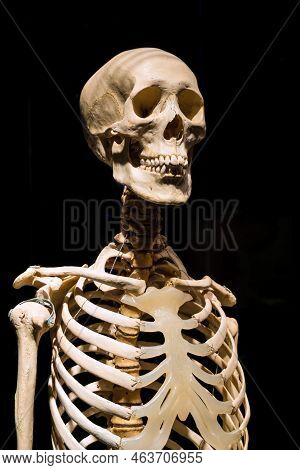 Moscow, Russia - May 05, 2021: Famous Anatomy Exhibition Body Worlds Where Plastinated Bodies Are Ex