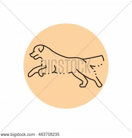 Golder Retriever Jumping Color Line Icon. Pictogram For Web Page