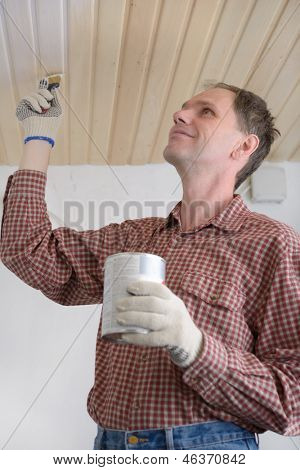 Dodavatel lakování dřevěných panelů na strop