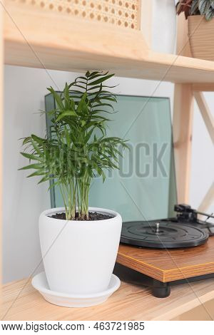Beautiful Houseplant And Turntable On Wooden Shelving Unit Near Light Wall