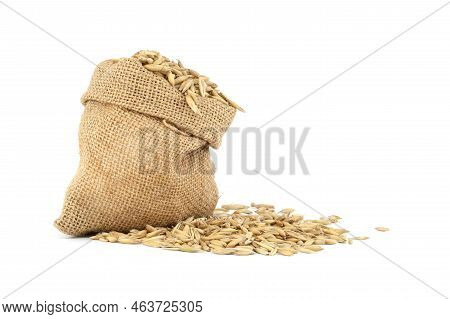 Oat Grains With Hulls Or Husks In Burlap Bag Isolated On A White Background. Agriculture, Diet And N