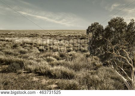 Dry Arid Region In The Outback The Barkly Highway National Highway In Northern Territory And Queensl