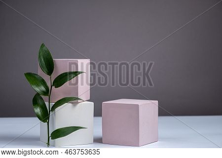 Cosmetic Background With Geometric Shapes And A Ruskus Branch On A Gray Backdrop. Three Cubic Podium