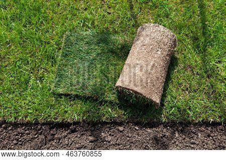 Lawn, Laying Of Turf Rolls Or Roll Of Lawn Greens.  A Quick Way To Improve The Territory.