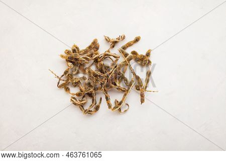 Dried Fruits Of Sophora Japonica On Light Background, Top View. Fruits And Seeds Are Used In Alterna