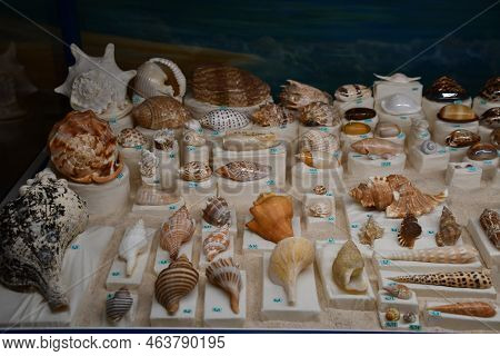 Albuquerque Nm - Jul 24: New Mexico Museum Of Natural History And Science In Albuquerque, New Mexico