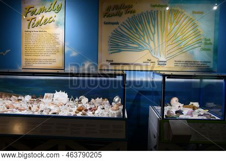 Albuquerque Nm - Jul 24: New Mexico Museum Of Natural History And Science In Albuquerque, New Mexico