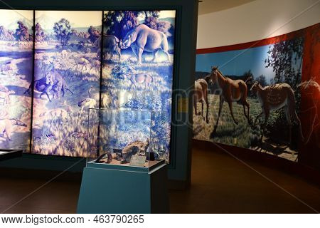 Albuquerque Nm - Jul 24: New Mexico Museum Of Natural History And Science In Albuquerque, New Mexico