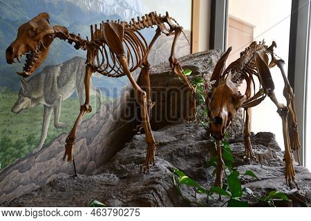 Albuquerque Nm - Jul 24: New Mexico Museum Of Natural History And Science In Albuquerque, New Mexico