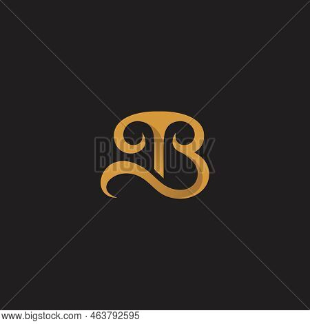 Tb Initial Logo Design Vector Illustration, Tb Icon