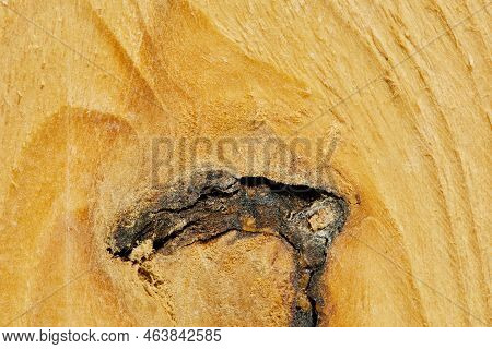 Wood Texture Wooden Background Close-up Top View