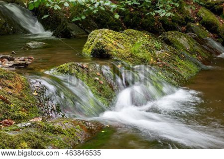 Horner Woods In Somerset