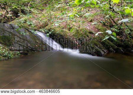 Horner Woods In Somerset