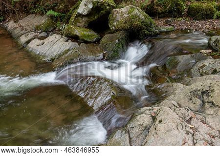 Horner Woods In Somerset