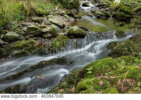 Horner Woods In Somerset