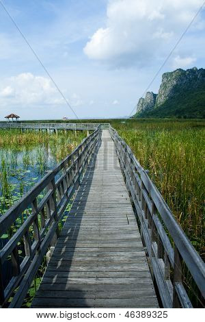 Træ bro i lotus lake i khao sam roi yod national park, thailand