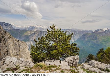 Breathtaking Panoramic View Of The Grlo Sokolovo Gorge In Montenegro. In The Foreground Is A Mountai