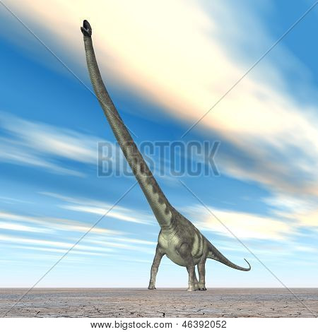 공룡 Mamenchisaurus