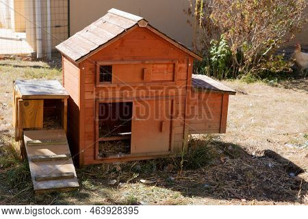 Wood Chicken Coop Wooden Hut For Hens Bird In Garden