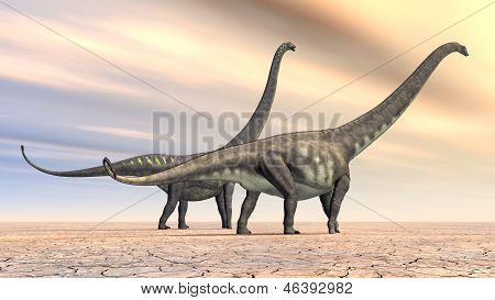 공룡 Mamenchisaurus