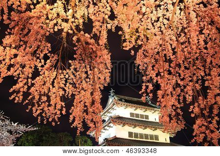 Luce del castello di Hirosaki e fiori di ciliegio