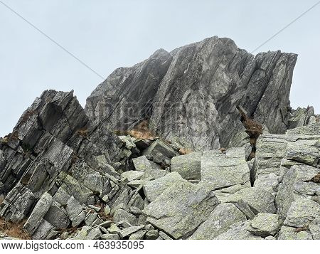 Rocks And Stones In The Autumn Swiss Alpine Environment And In The St. Gotthard Pass (gotthardpass) 