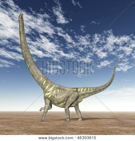 공룡 Mamenchisaurus