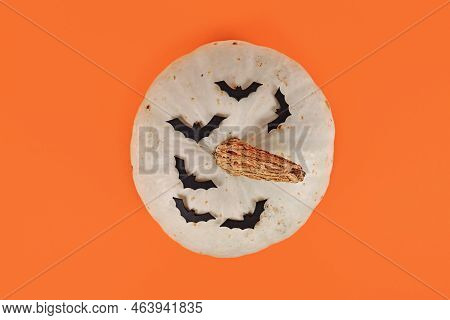 Top View Of White Japanese Hokkaido Quash With Bats On Orange Background
