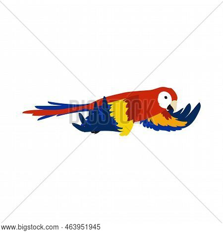Red Tropical Parrot Spreading Wings Vector Illustration. Bird Flapping Wings, Movements Of Wings. Re