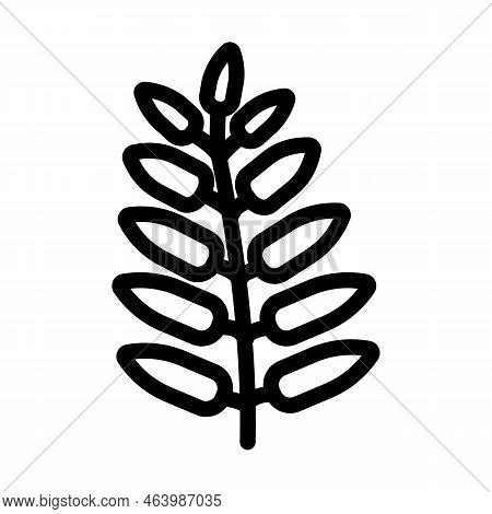 Royal Fern Tropical Leaf Line Icon Vector. Royal Fern Tropical Leaf Sign. Isolated Contour Symbol Bl