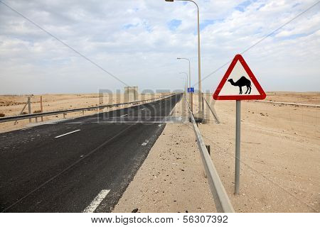 Camels Crossing Sign In Qatar