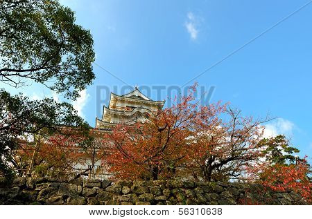 Fukuyama Castle (east Side)