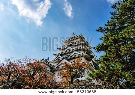 Fukuyama Castle (east Side)