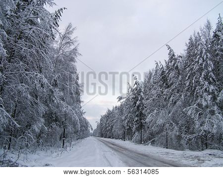 Winter road