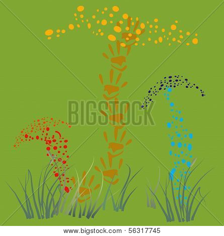 Collecting Of Hallucinogenic Mushrooms.