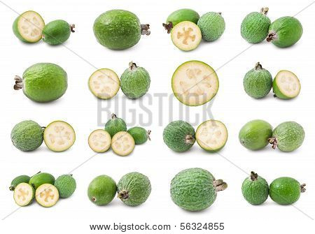 Feijoa