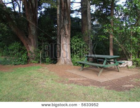 Picnicområde i parken