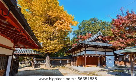 Tamukeyama Hachimangu shrine in Nara in autumn