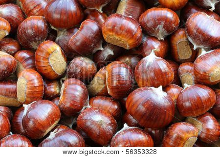 Spanish chestnuts with shells (Sweet chestnuts)