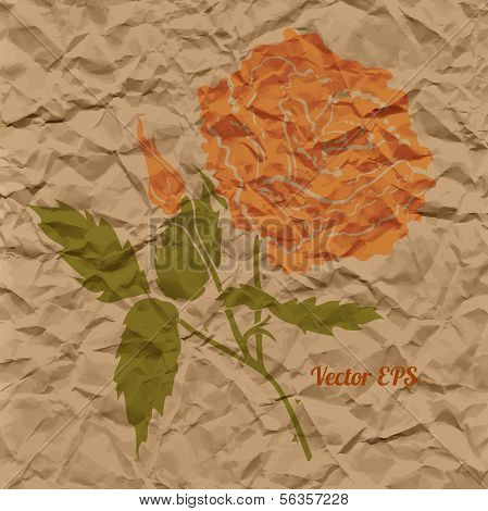 Vector red rose, creased paper