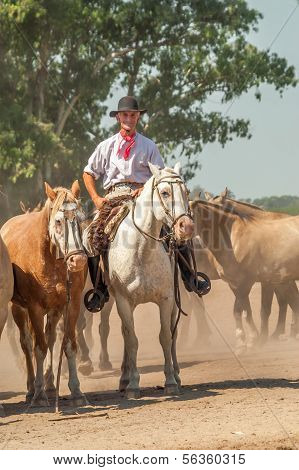 Gaucho