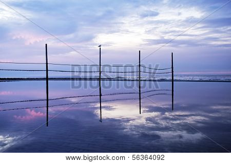 Old Fence At Beach