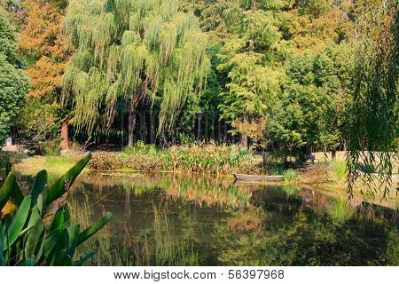 Paisaje del parque del lago oeste. Hangzhou. China.
