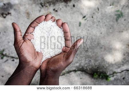 Hands holding rice