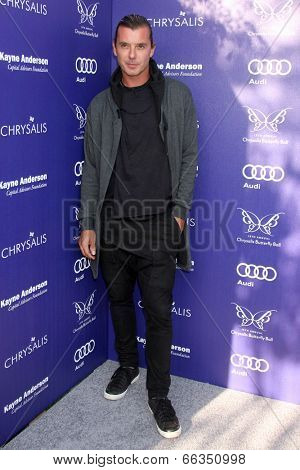 LOS ANGELES - JUN 7:  Gavin Rossdale at the 13th Annual Chrysalis Butterfly Ball at Private Mandeville Canyon Estate on June 7, 2014 in Los Angeles, CA