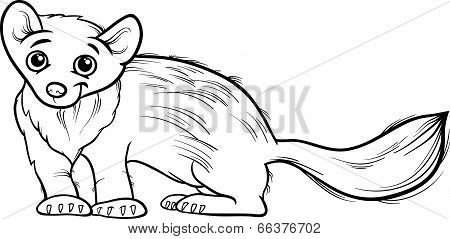 Marten Animal Cartoon Coloring Book