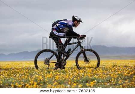 Frühlings-Abenteuer-Mountain Bike Wettbewerb